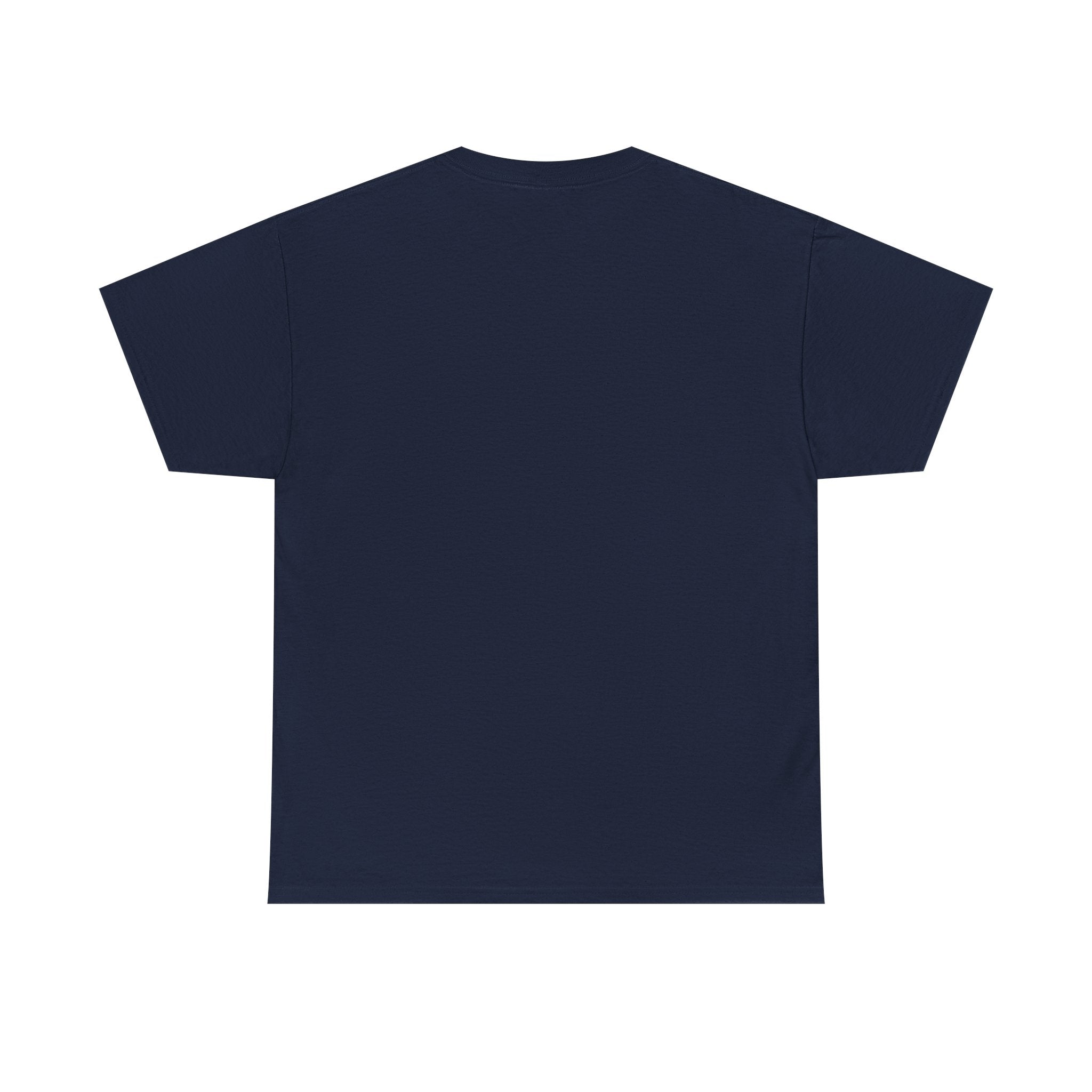 Lion "Never Give Up" Tee — Motivational Graphic T-Shirt
