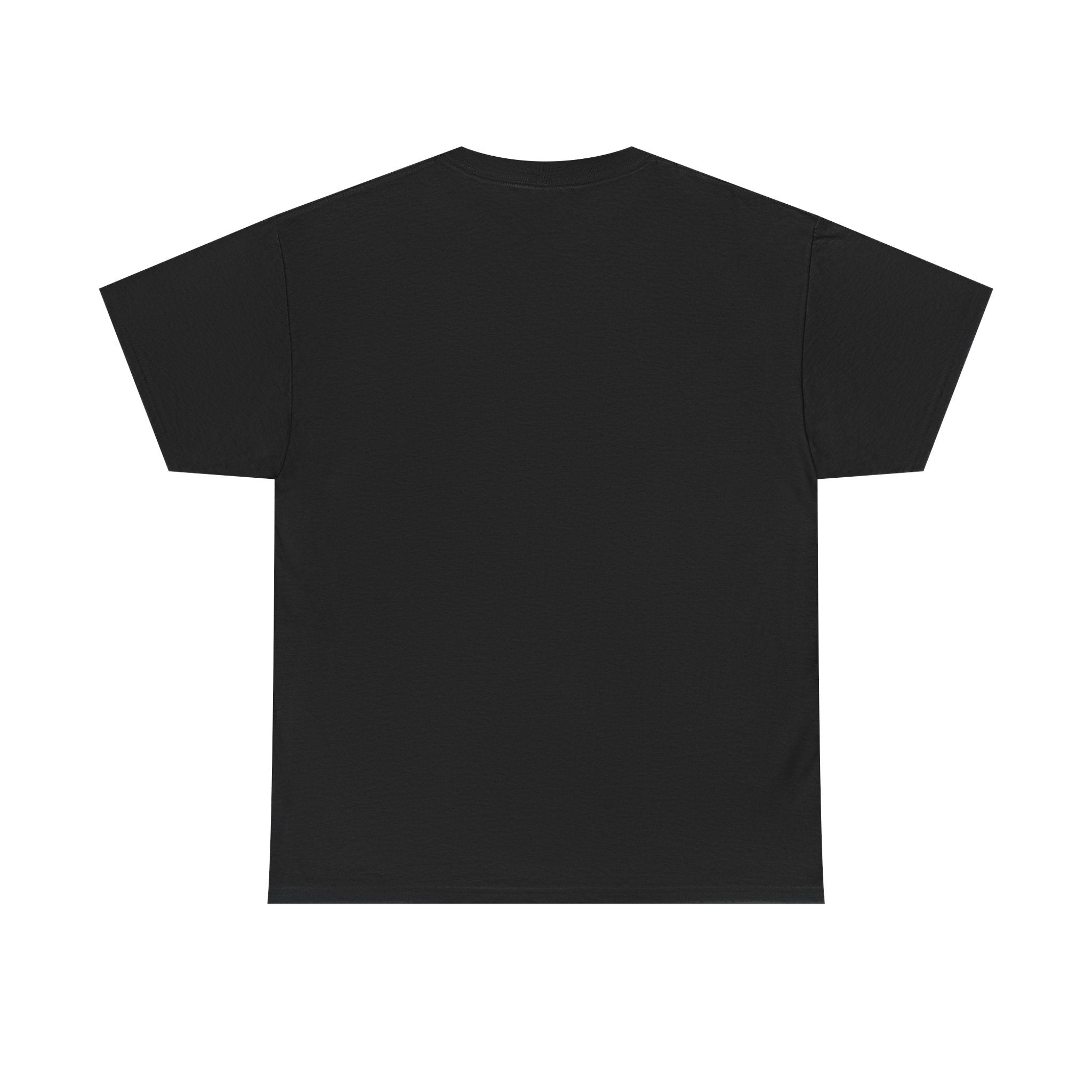 Lion "Never Give Up" Tee — Motivational Graphic T-Shirt