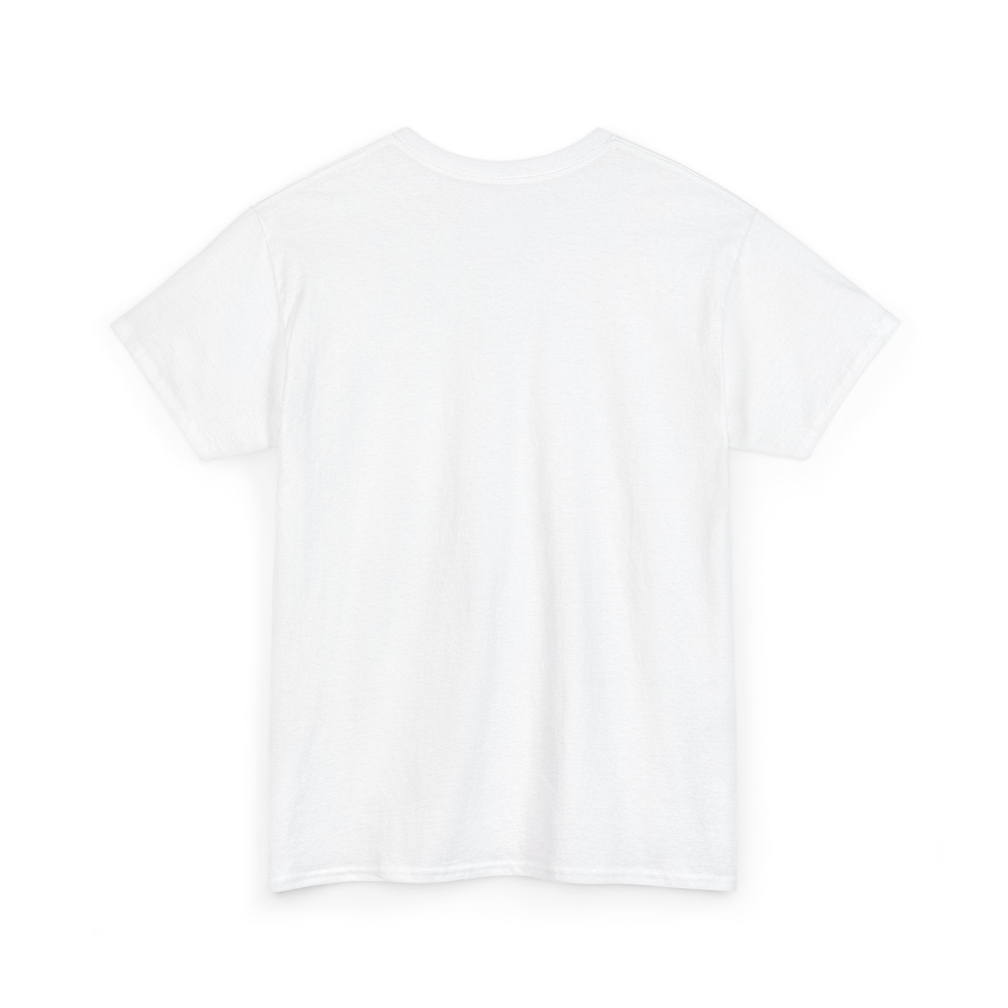 Lion "Never Give Up" Tee — Motivational Graphic T-Shirt