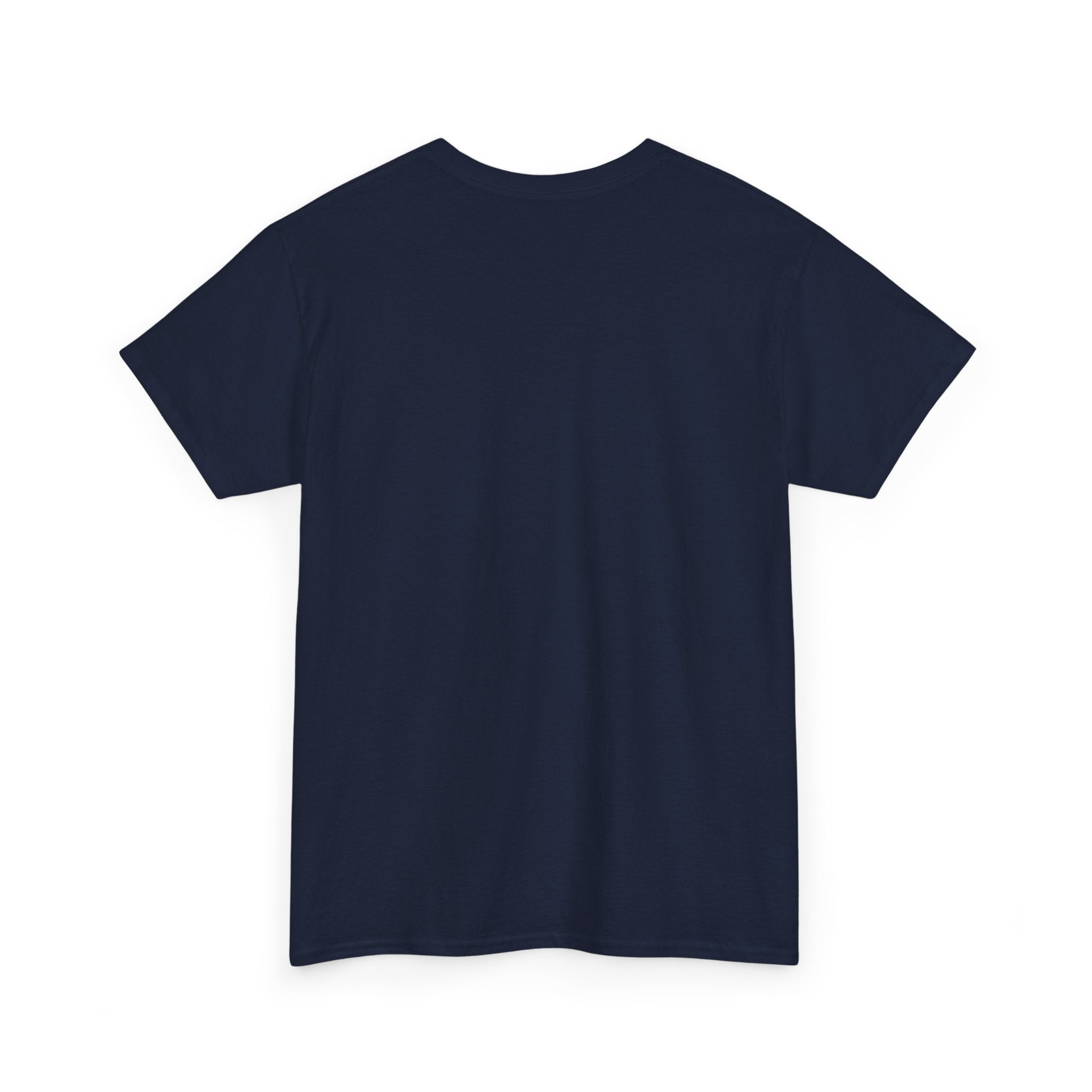 Lion "Never Give Up" Tee — Motivational Graphic T-Shirt